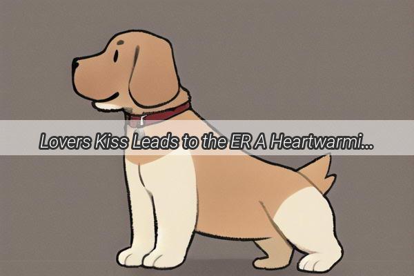 Lovers Kiss Leads to the ER A Heartwarming Tale of Canine Love and Unexpected Health Dilemma